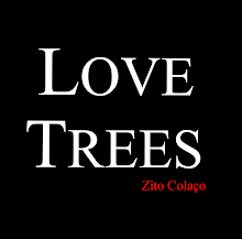 Blog LoveTrees