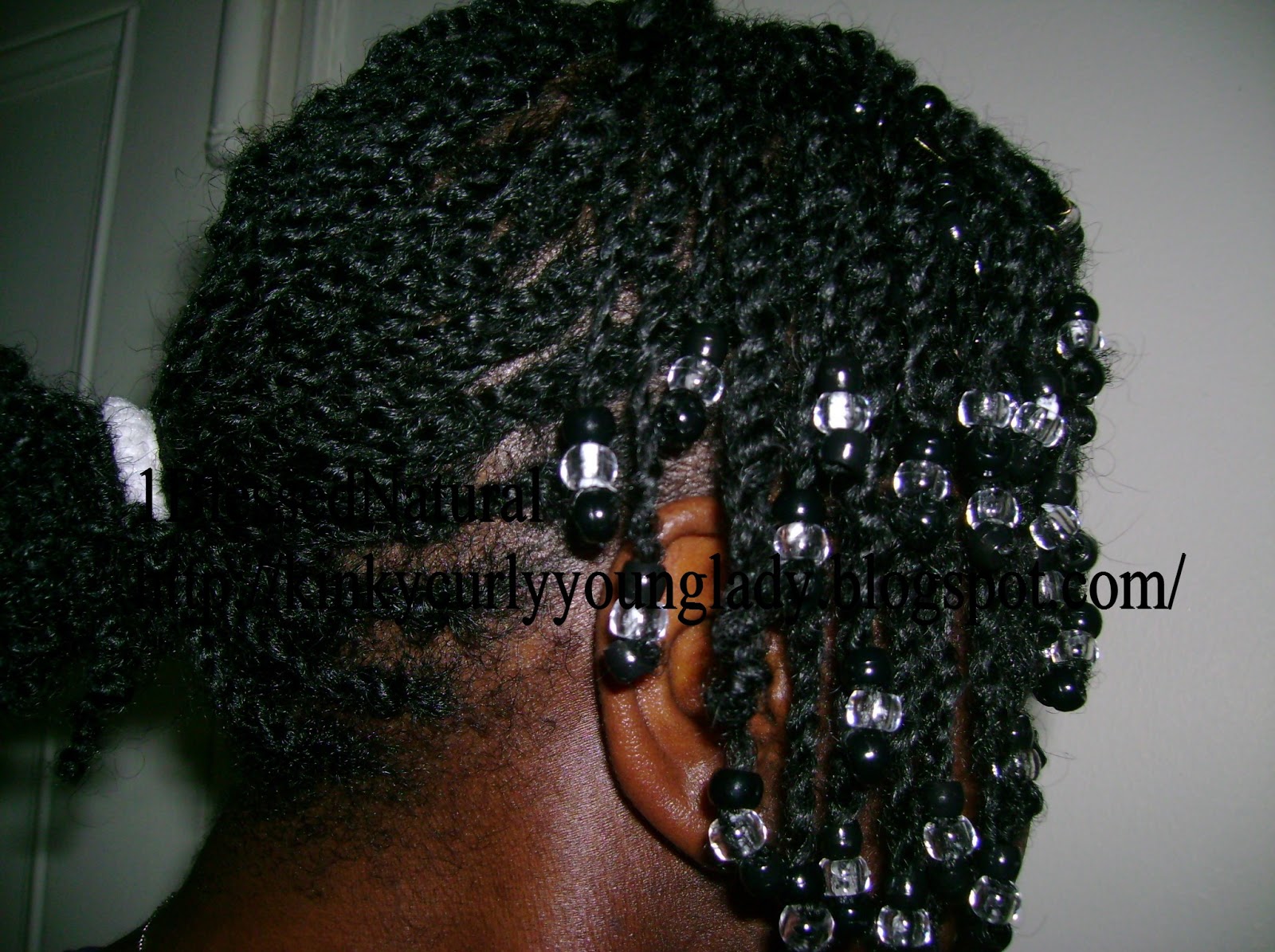 TwoStrand Twists with Beads Adult Hairstyle