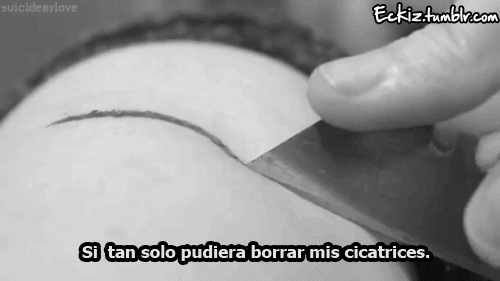 La receta de la alimentación correcta para cada día para el adelgazamiento con las recetas