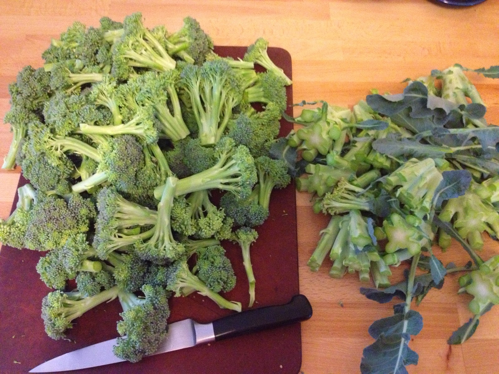 Freezing Broccoli