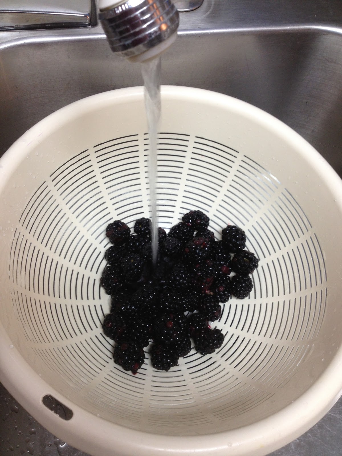 fresh juniper Blackberry Jam Fresh Berry Recipe and Hot Water Bath