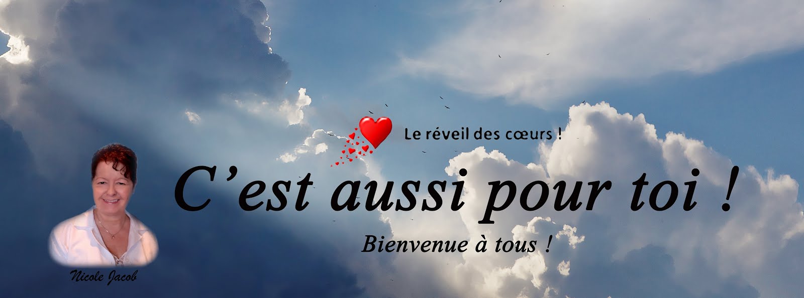 Ma Boutique Web :     cestaussipourtoi.com   ;    Clique sur l'image !