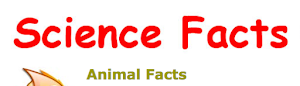 Animal Facts