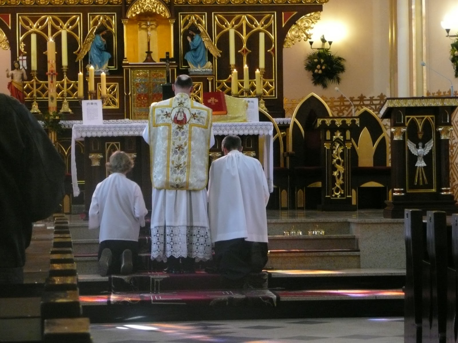 [Obrazek: P1090732.JPG]