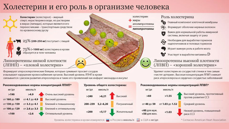 Диета При Гиперхолестеринемии Примерное Меню