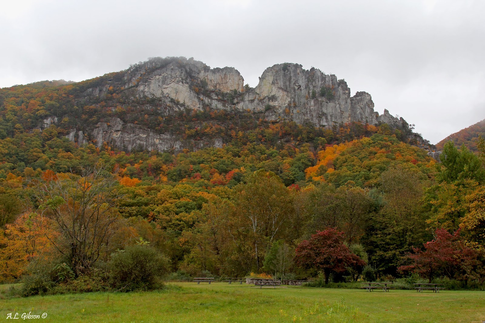 The Buckeye Botanist West Virginia's Seneca and Champe Rocks
