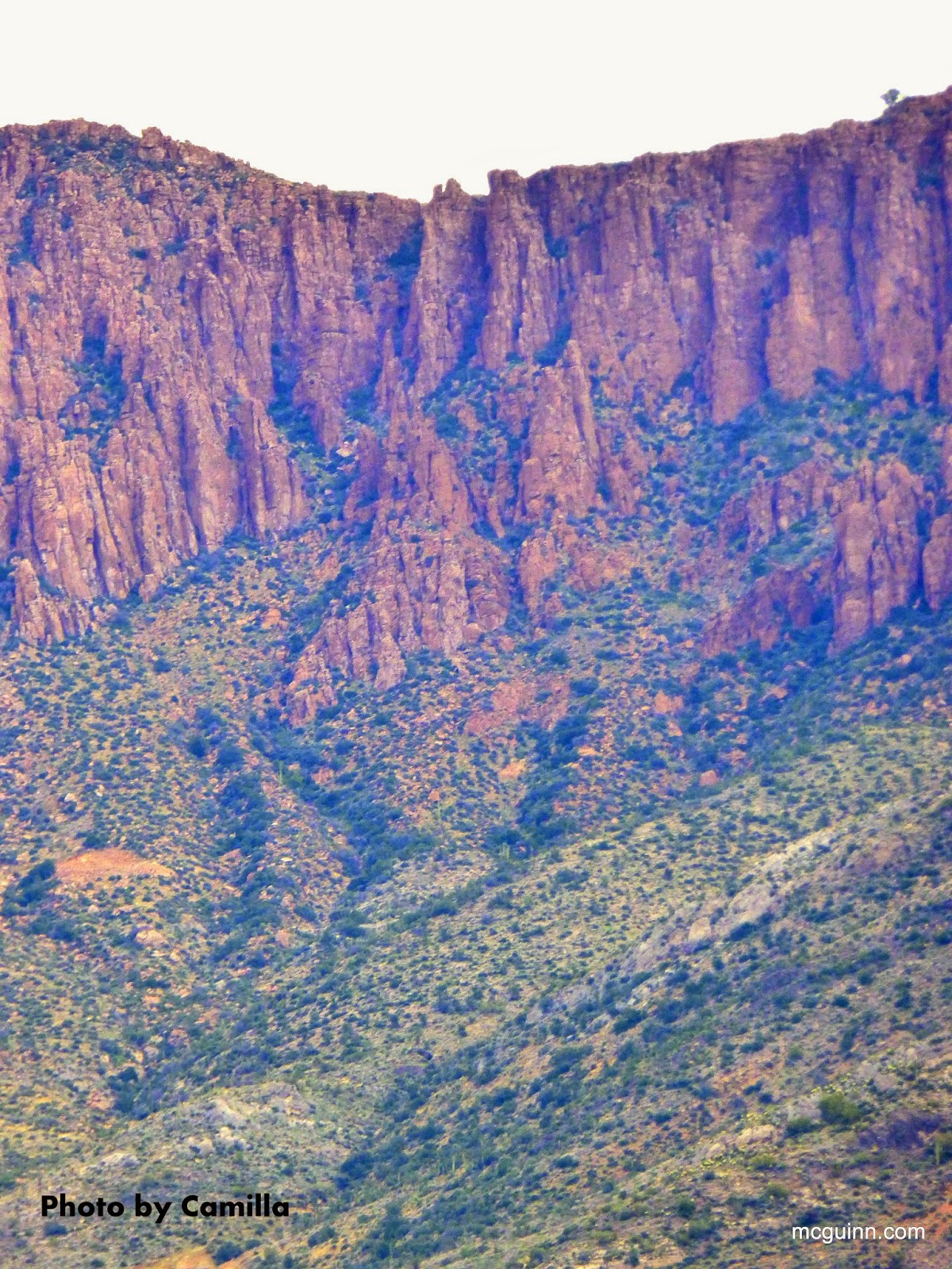 singles and friends tucson