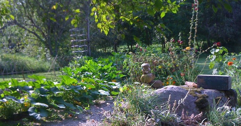 Garden Border Ideas To get more Shade - Significantly less Trimming