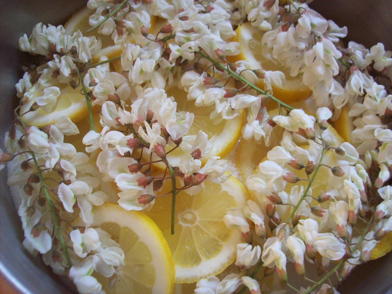 Home made életünk Akác virág szörp / Acacia blossom syrup