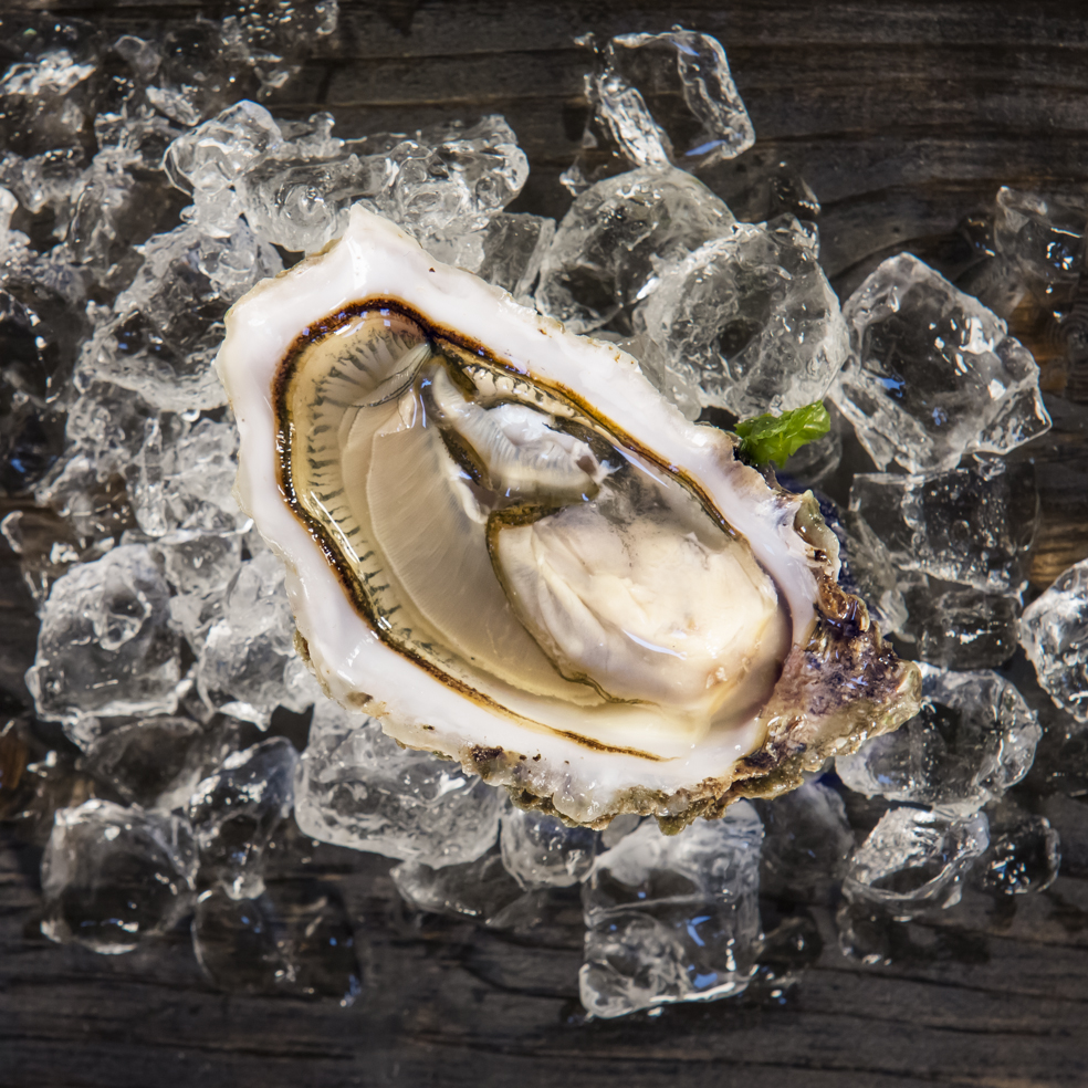 Eugene Langan Photography So Simple. So Tasty. The 12 Oysters of