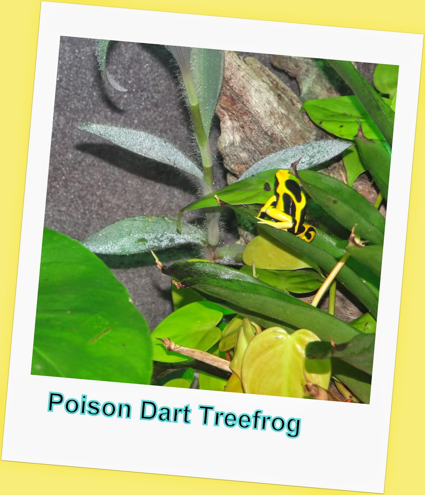 Pattie's Place The Living Aquarium Trip in Sandy, Utah