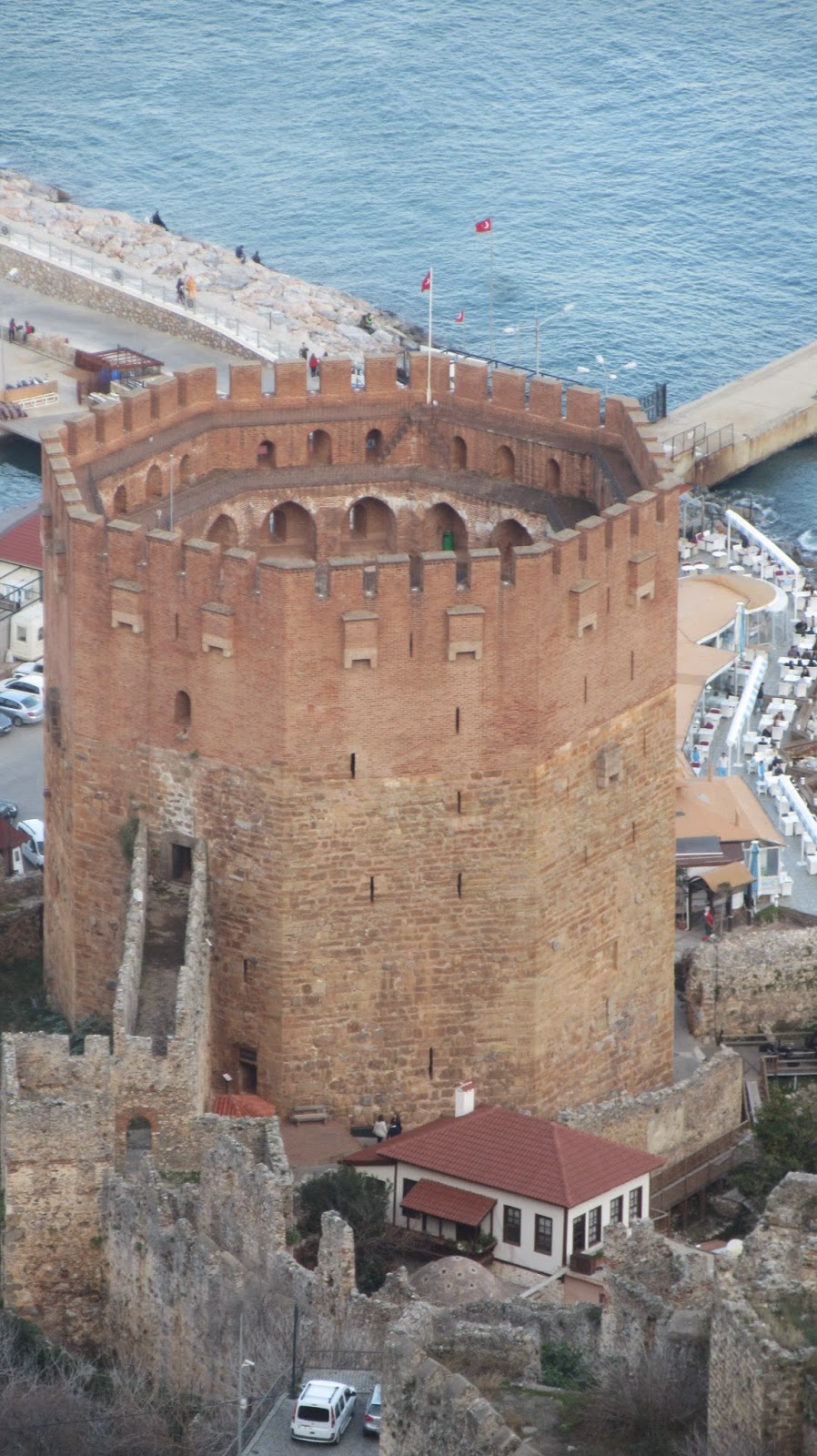 arici ali turk ve aricilik bilgileri