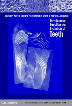 Development, Function and Evolution of Teeth Mark F. Teaford, Mark W. J. Ferguson, Moya Meredith Smith