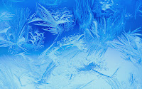 snow-flakes-and-frost-wallpaper-8