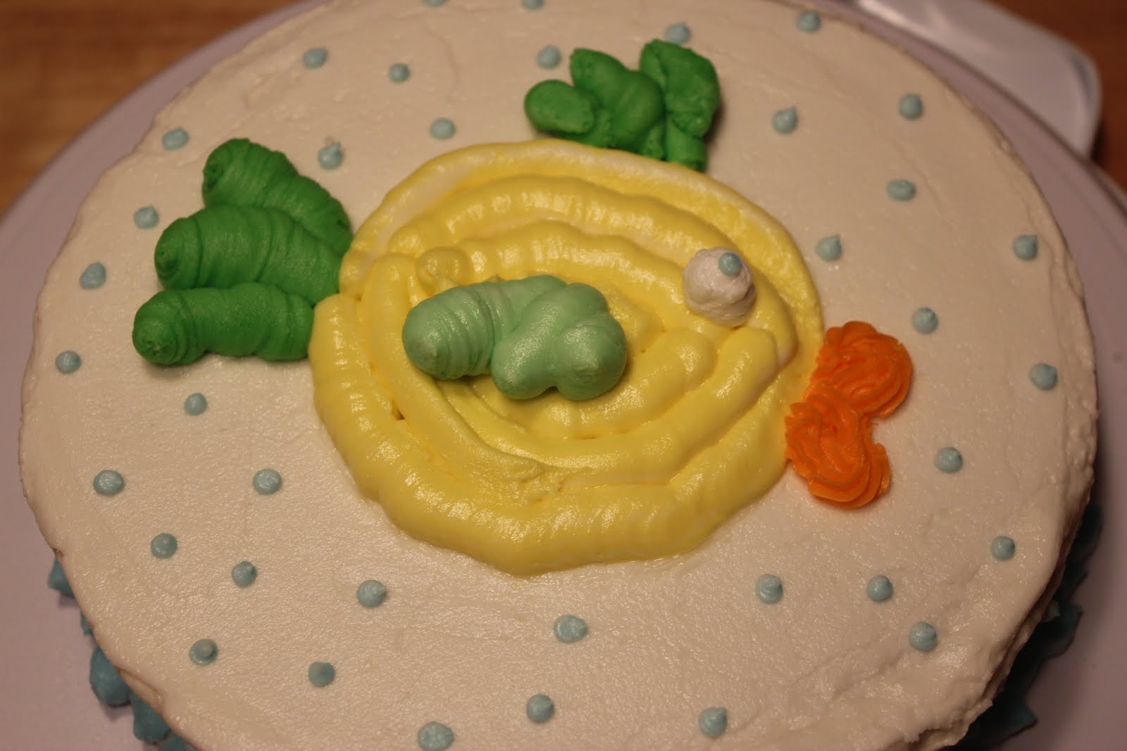 Chelsea s Choice: My First Wilton Basic Cake Decorating ...