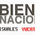 Convocatoria de la VI Bienal Nacional de Artes Visuales Yucatán 2013