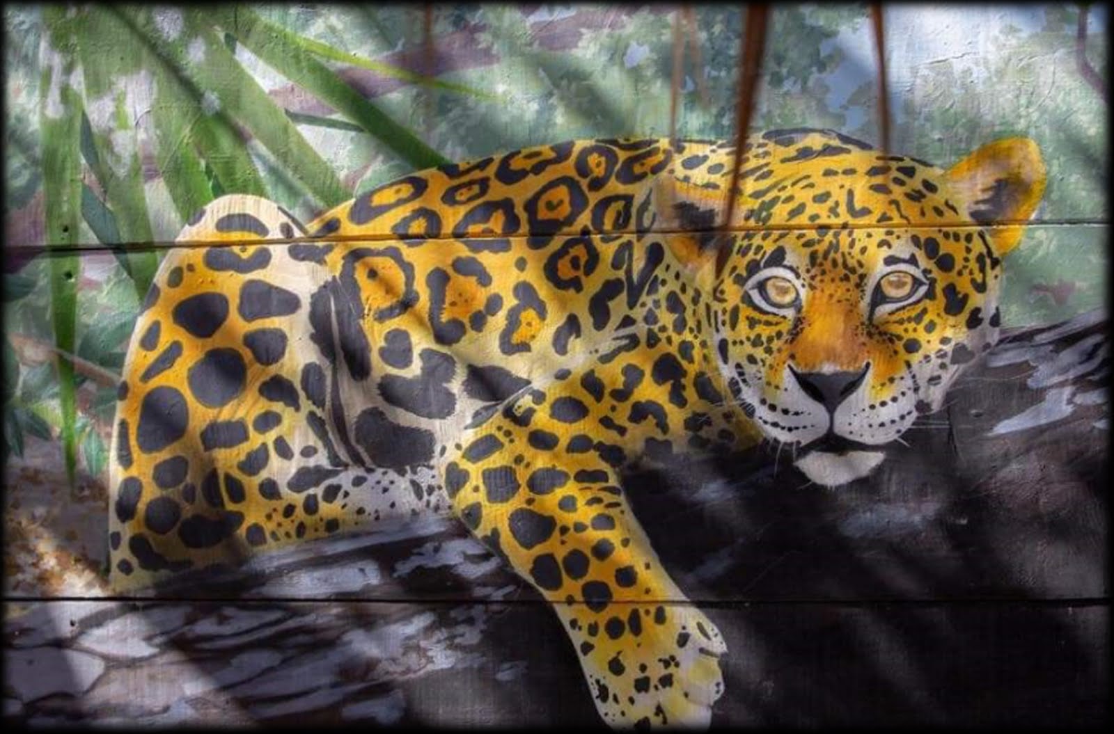 "Female Jaguar"