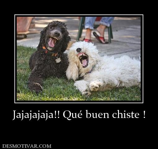 desmotivaciones graciosas. chistes graciosas desmotivaciones