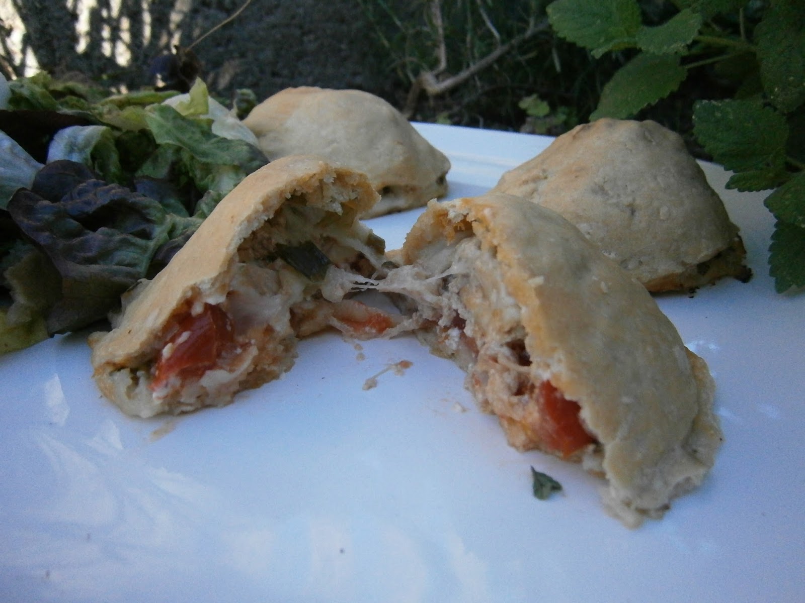 Délices d'une novice Mini pizzas calzone (chaussons) tomate, thon