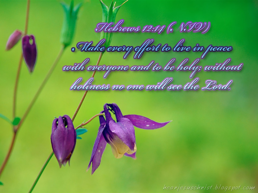 Christian Wallpapers: Bible Verse Wallpaper - Hebrews 12:14