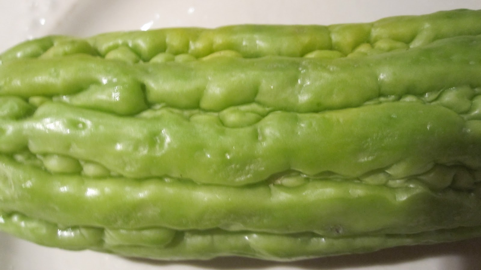 Cannundrums Bitter Melon