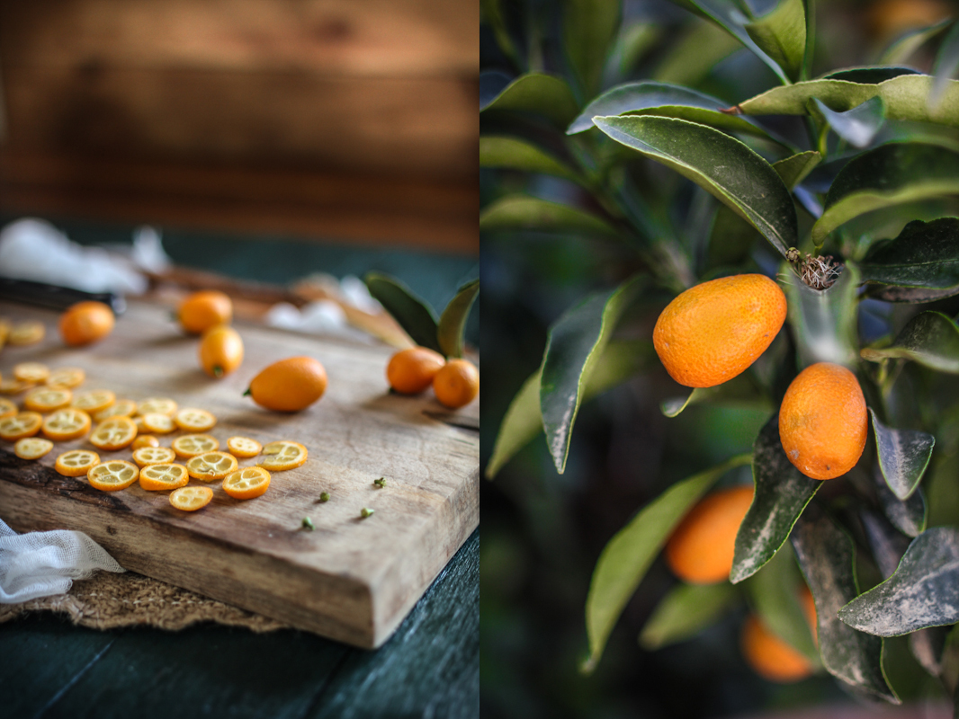 actual size kumquat actual size kumquat