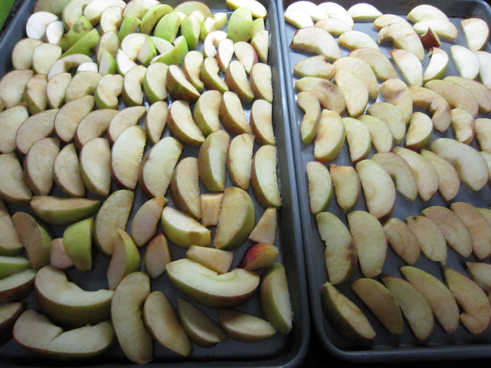 McGalver How to Freeze Fresh Apples