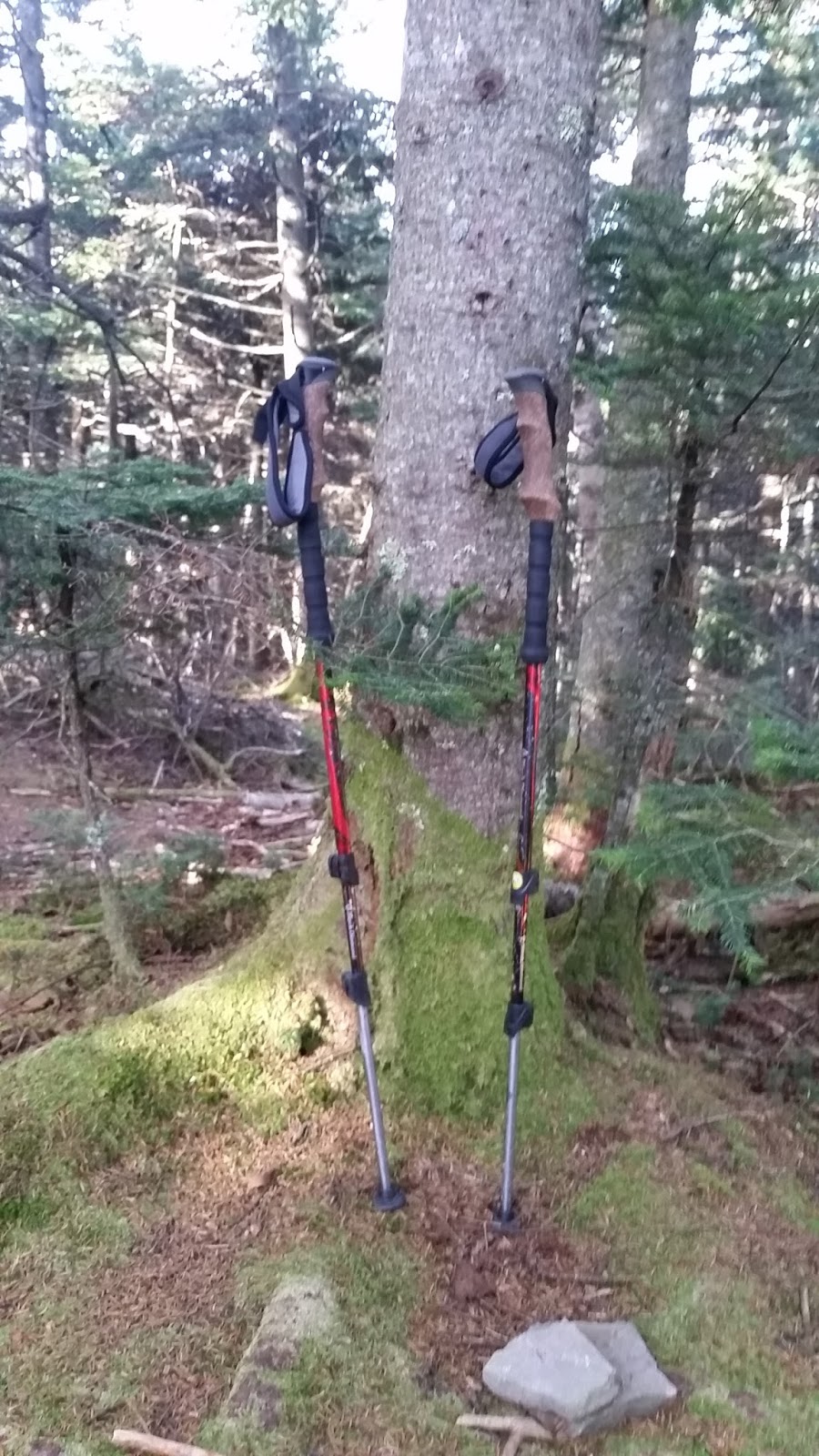 trail ergo cork review