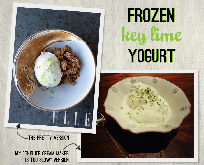 FROZEN KEY LIME YOGURT WITH GRAHAM CRACKER CRUMBLE Triple Max Tons