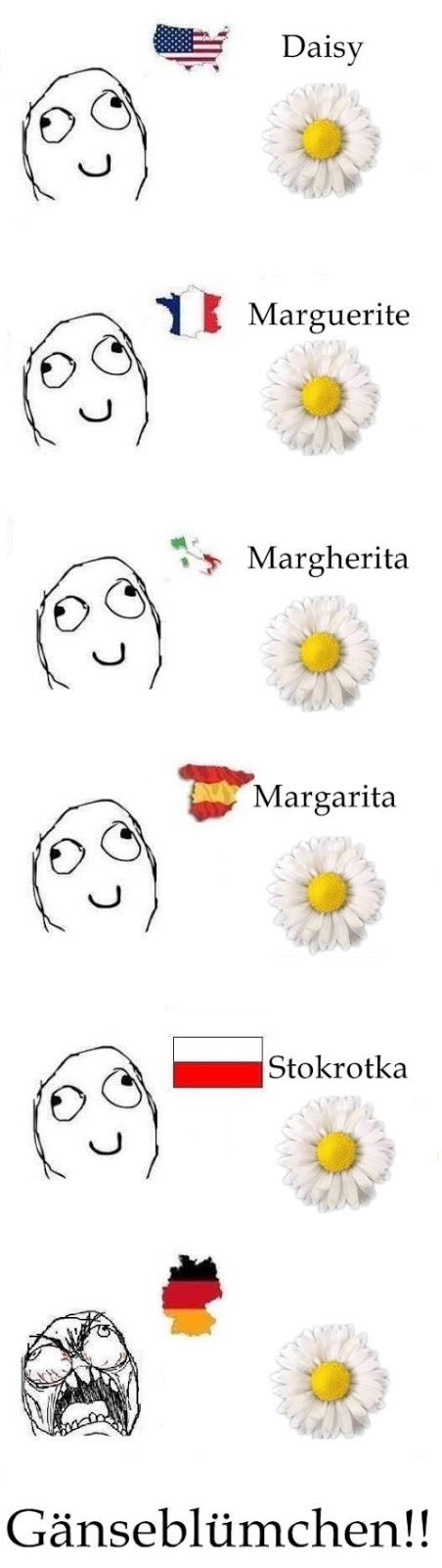 10 German Words With Simply Hilarious Literal Translations The Local
