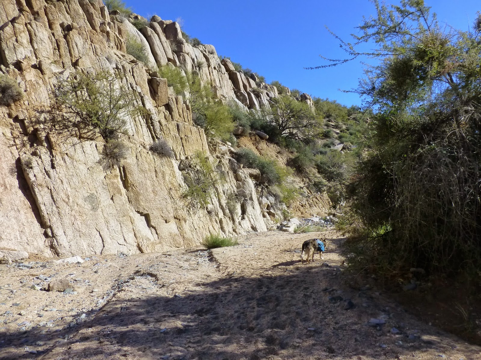 Hiking Camp Creek Falls, Tonto National Forest, Arizona
