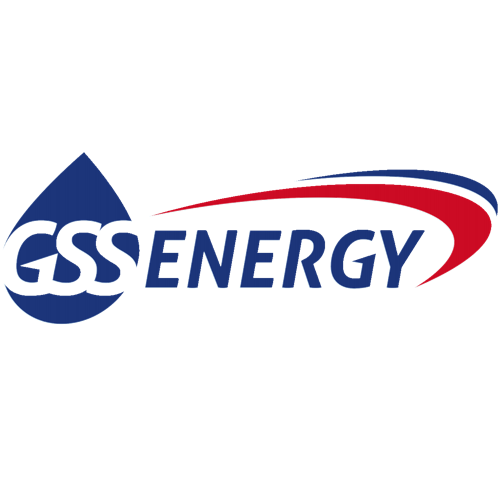 GSS ENERGY LIMITED (41F.SI) Target Price & Review