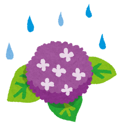 梅雨のイラスト「紫陽花と雨」