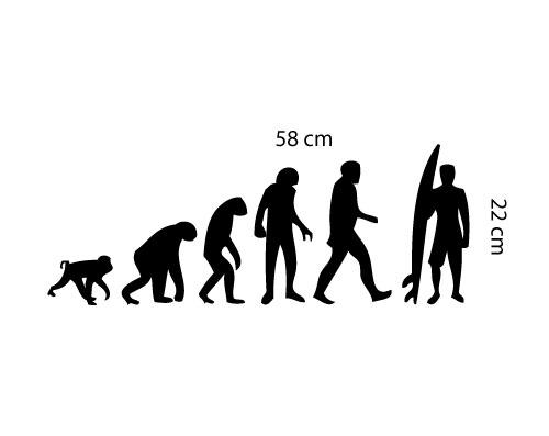 surf-evolution.jpg