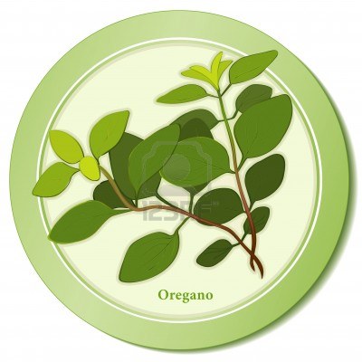 oregano herbal supplement