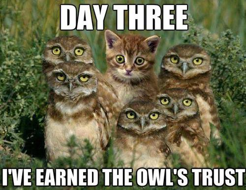 day+three.jpg