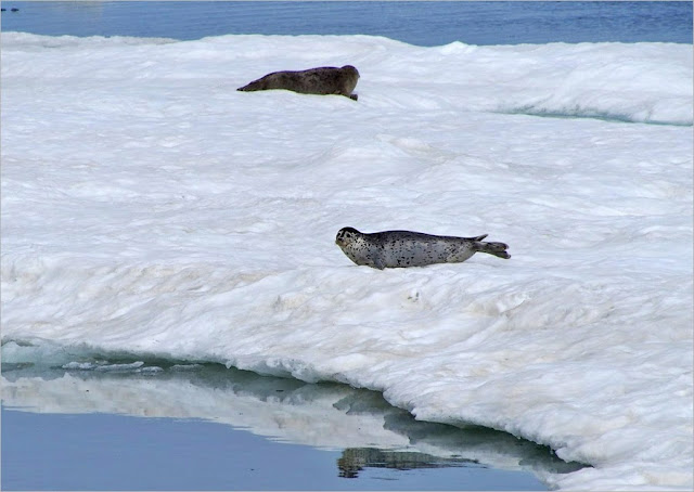 Chukotka-samoe-sekretnoe-mesto-Russia