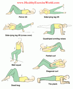 Flexibility Training Program For Gymnast