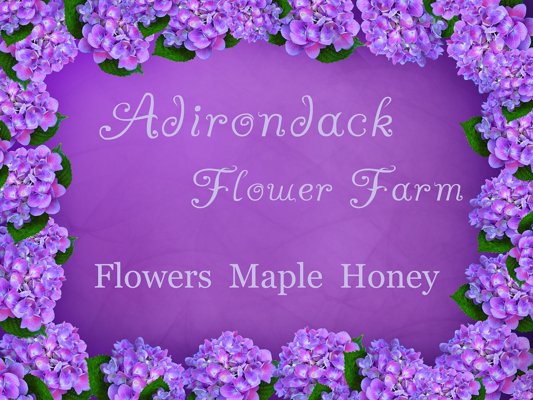 Adirondack Flower Farm