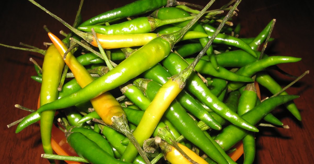 Extreme Hot Peppers Bird's eye chili / Thai Chili