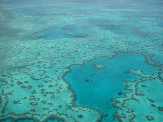 Great Barrier, terumbu karang, terumbu terbesar, terumbu australia.