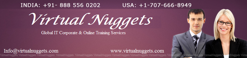 VirtualNuggets