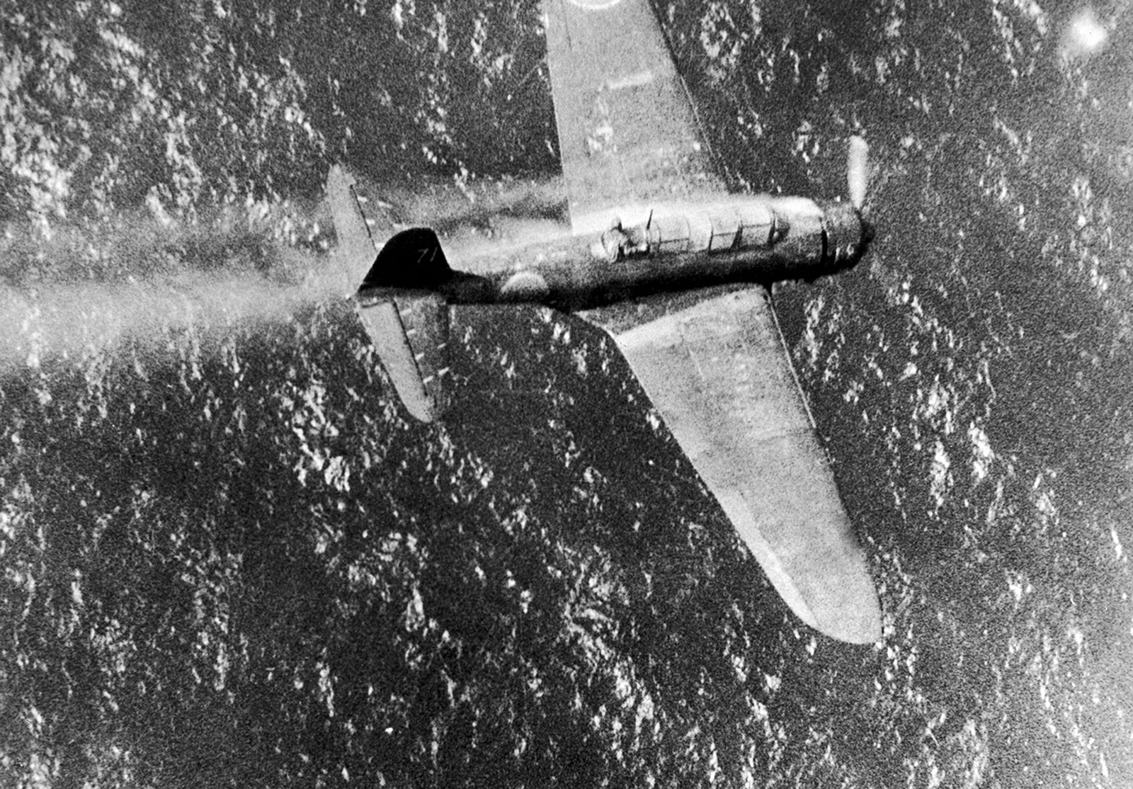 World War II Pictures In Details: A Japanese Dive Bomber Shot Down Near