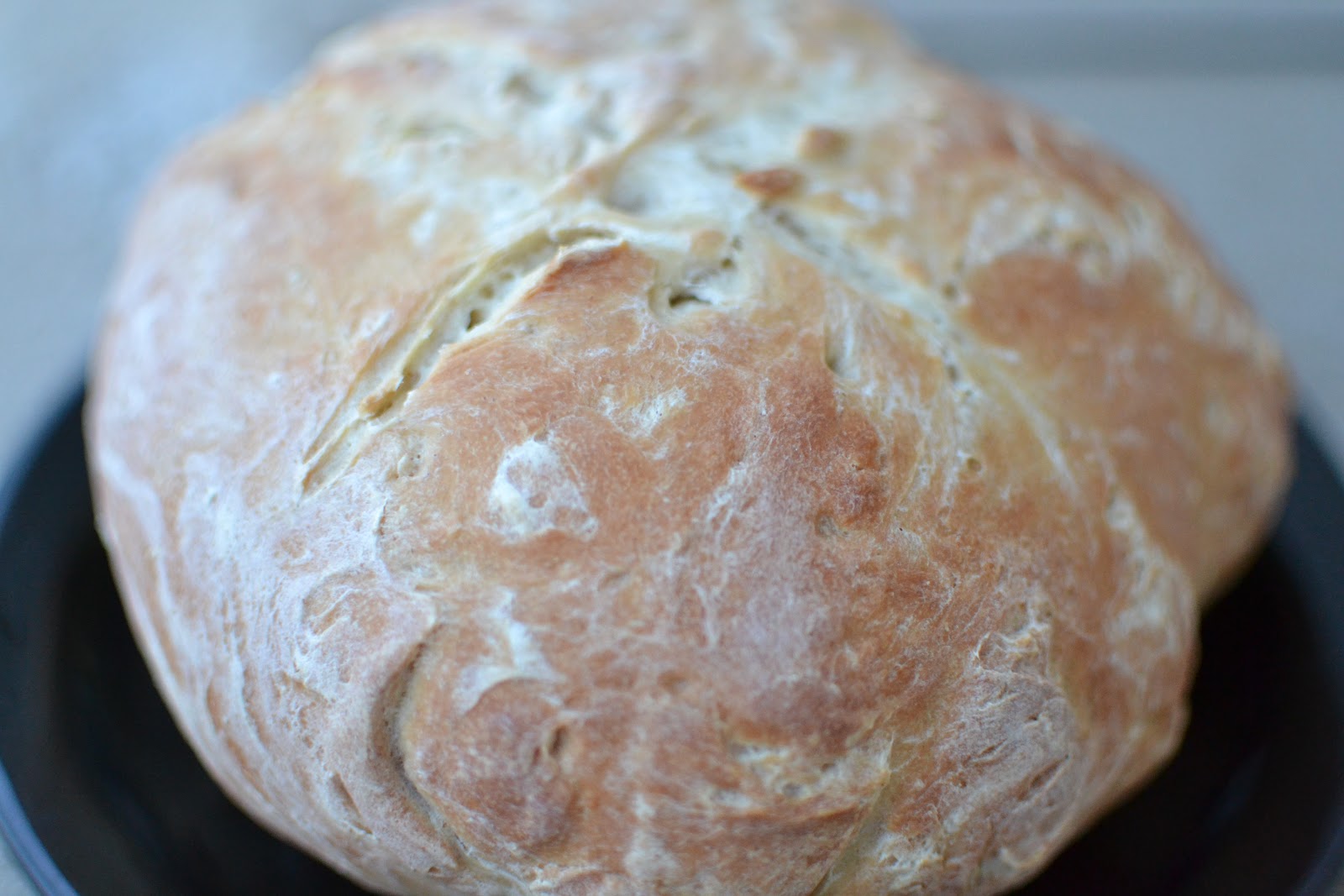 regal me Greek Village Bread