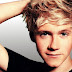 Happy Birthday:- Conhecendo Niall Horan