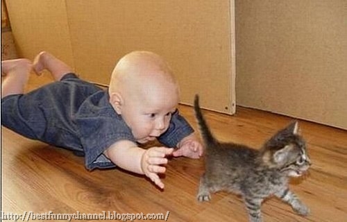 Funny baby and kitten.