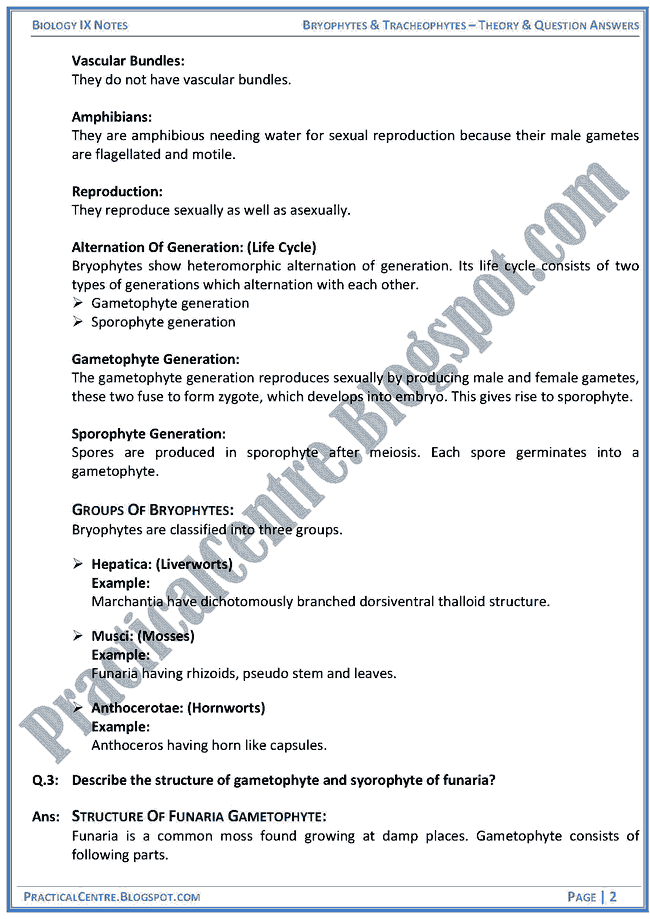 bryophytes-and-tracheophytes-theory-and-question-answers-biology-ix