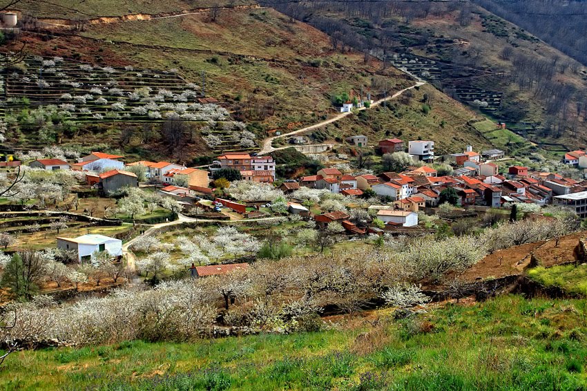 VALLE DEL JERTE