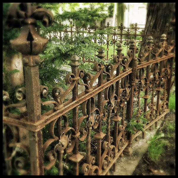 The Iphone Arts July 2013