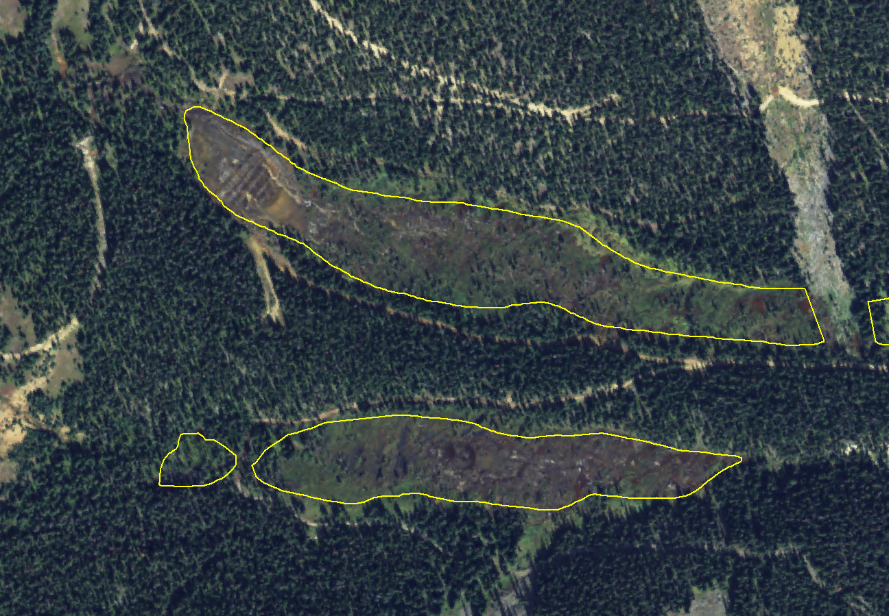 CNHP Blog Fen mapping at the Pike and San Isabel National Forests